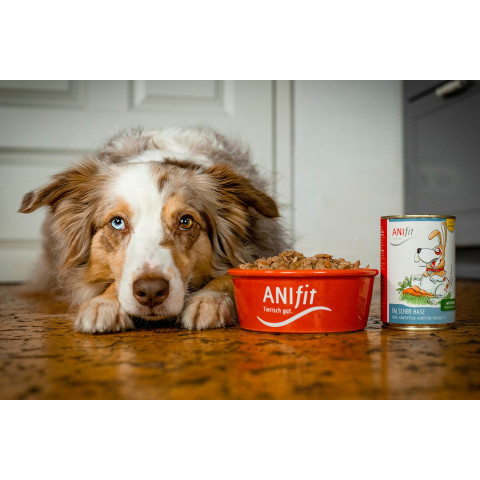 Dog Accessories Wet pet food Wrong Bunny (Falscher Hase) 200g 6 Piece -3- Anifit