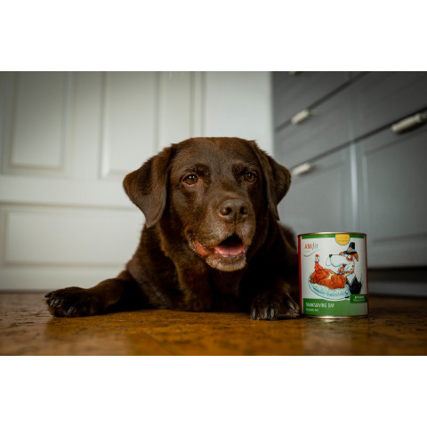 Dog Accessories Wet pet food Thanksgiving Day 200g 6 Piece -6- Anifit